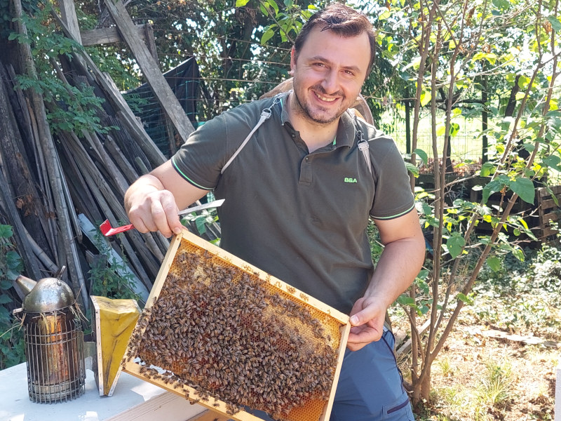 Miele Montello Miele Montello Fotios Kelidis