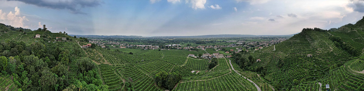 Cantina Moro Sergio Col Fondo Valdobbiadene