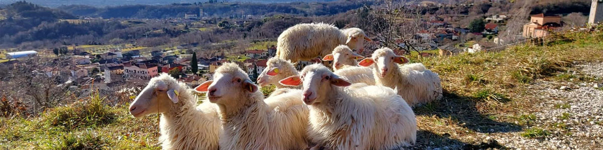 Laboratori e Compleanni ai piedi del cansiglio