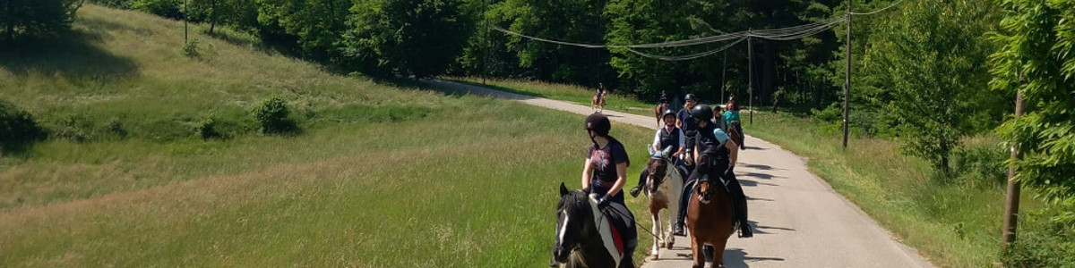 Passeggiate cavallo cansiglio