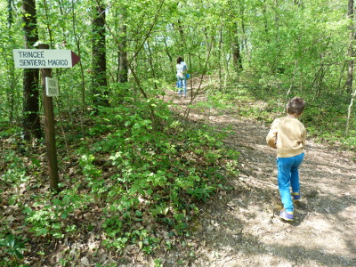 Bosco Magico Liedolo, Trincee e Colle San Lorenzo
