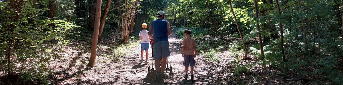 Bosco Pontello sul Montello