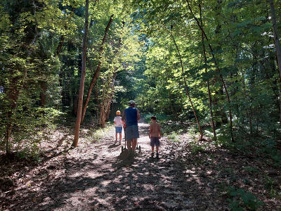 Bosco Pontello sul Montello
