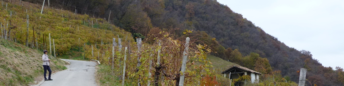 Monte Villa a Solighetto