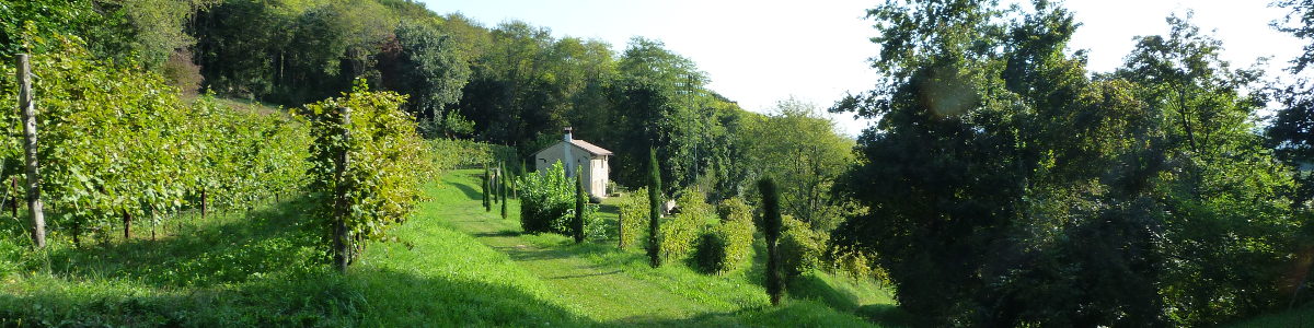 Il versante sud dei Colli d'Onigo
