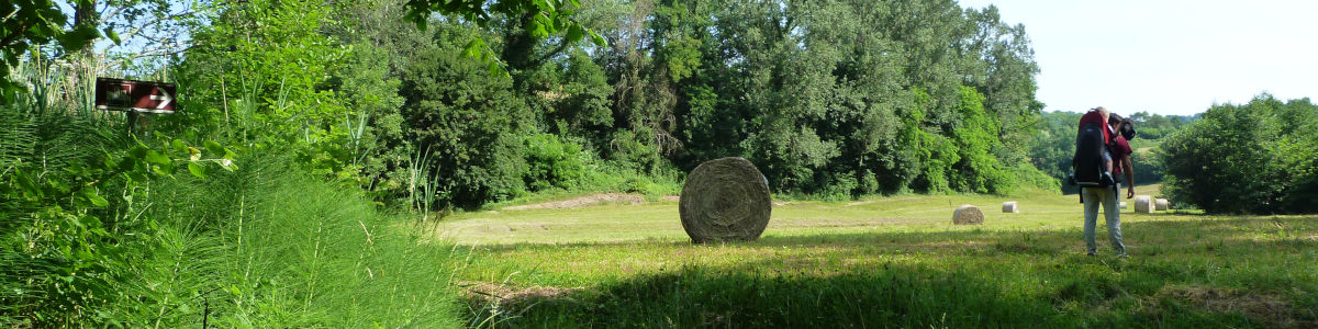 Valle dell'Acqua Morta a Monfumo