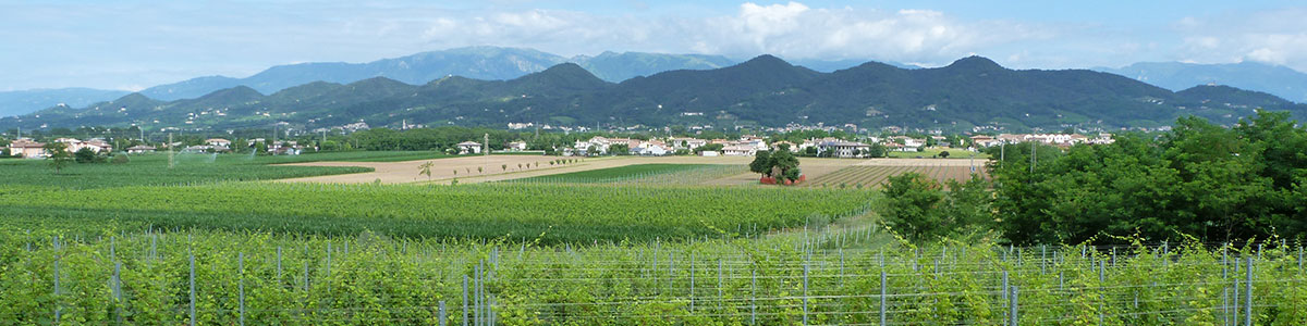 Sentiero Natura Via Vallon