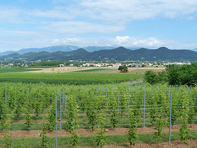 Sentiero Natura Via Vallon