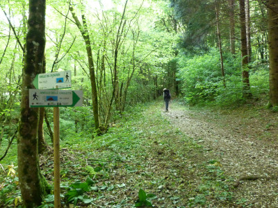 Anello delle Cirulette Passeggiate Milies