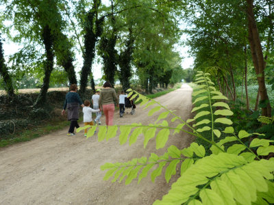 Camalò al centro del mondo