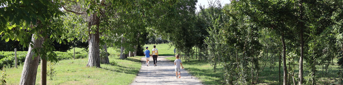 Passeggiata della Libellula a Colceresa