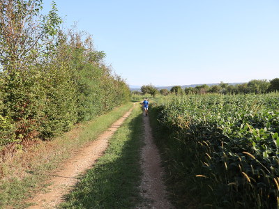 La campagna tra Falzè e Trevignano