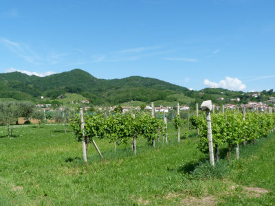 Maser ai piedi dei Colli Asolani