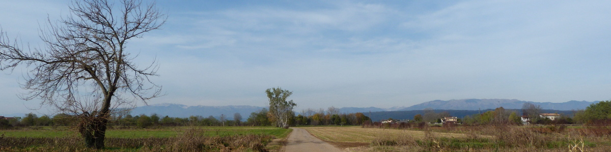 Paderno campagna