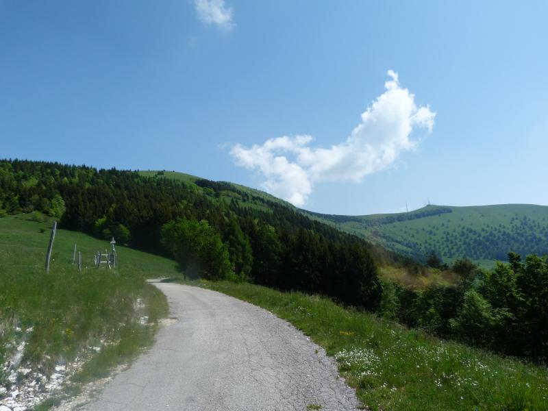 Keep attention to the path on the left