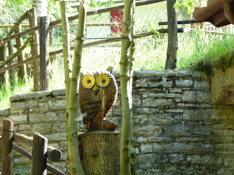 The owl is keeping watch over us
