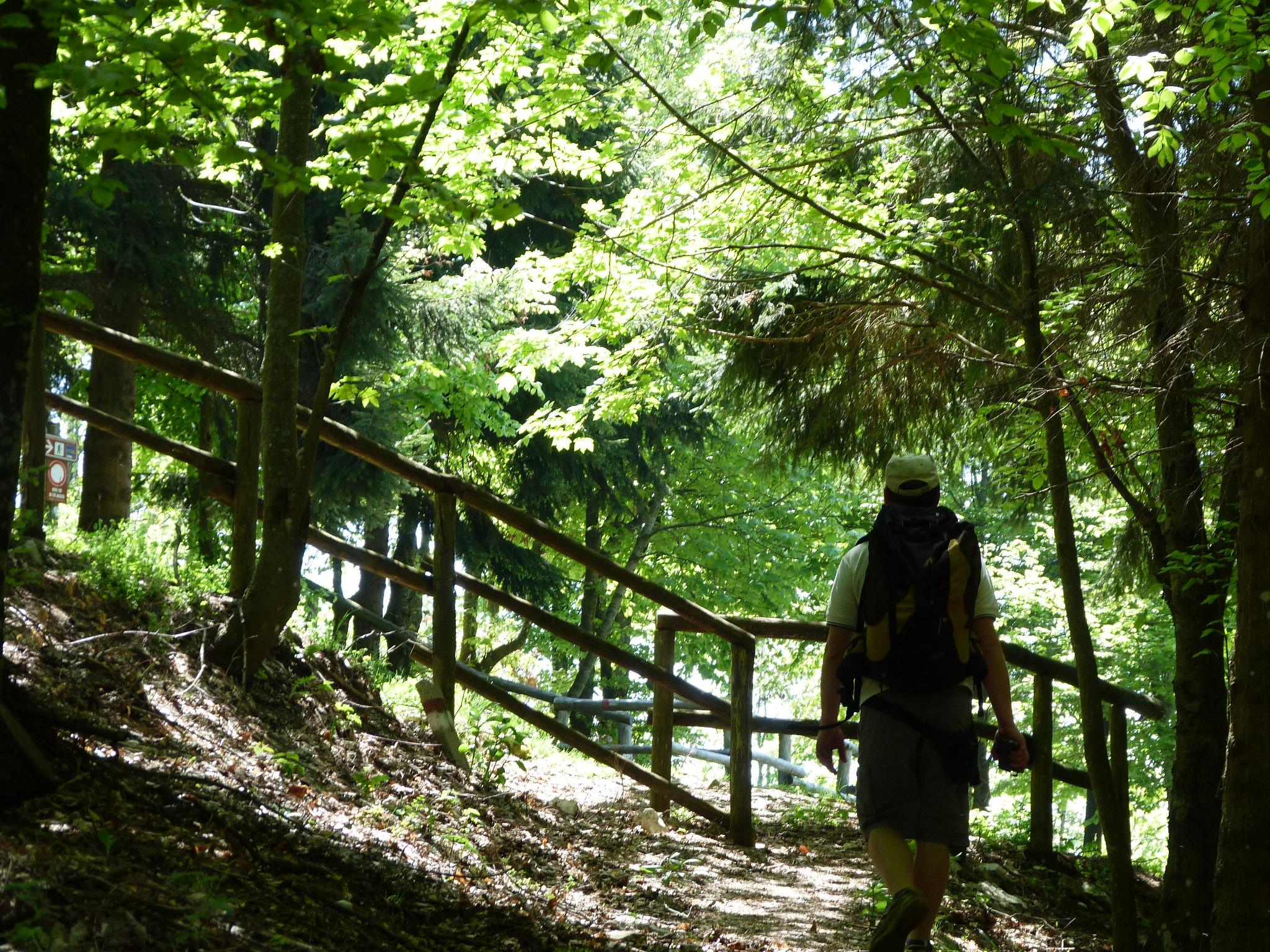 Outside the woods