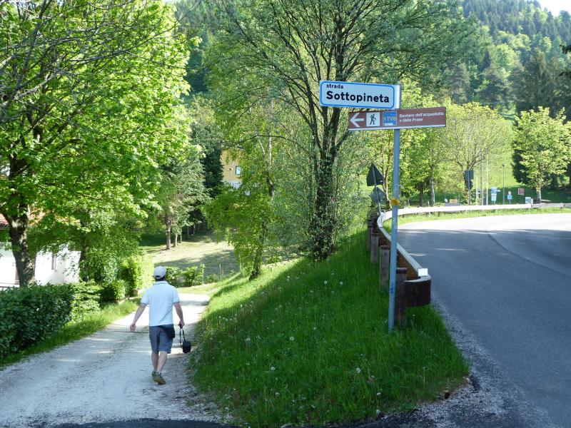 Strada Sottopineta