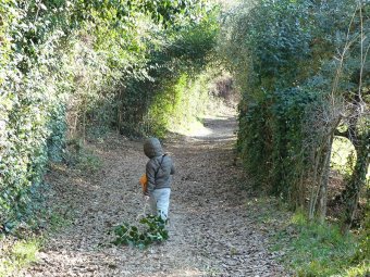 Sentiero di Via Fosse