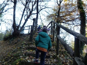 Su per la scala per BoscAsolo