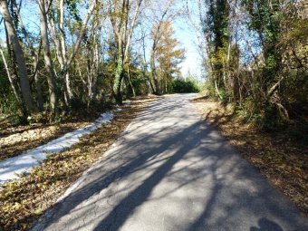 La finta neve di Via Fornetto