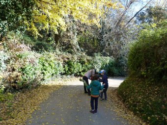 Discesa lungo Via Rocca