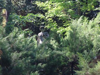 Giardino Parolini