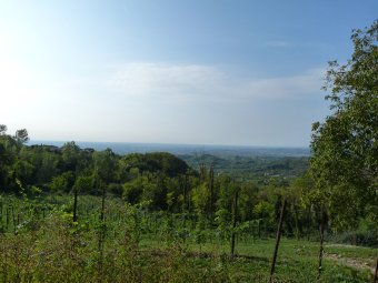 Vista sulla pianura e i colli