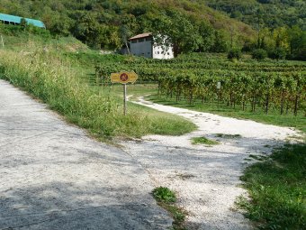 Al vigneto a destra