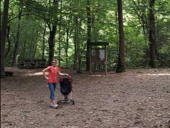 Area picnic nel Bosco Pontello