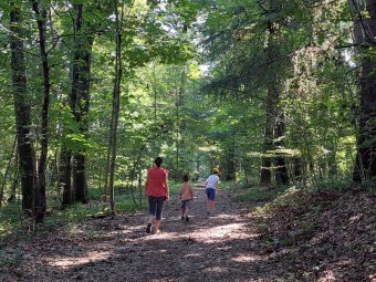 Cominciamo il percorso del Bosco Pontello
