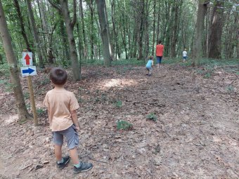 Sentieri Pontello Track