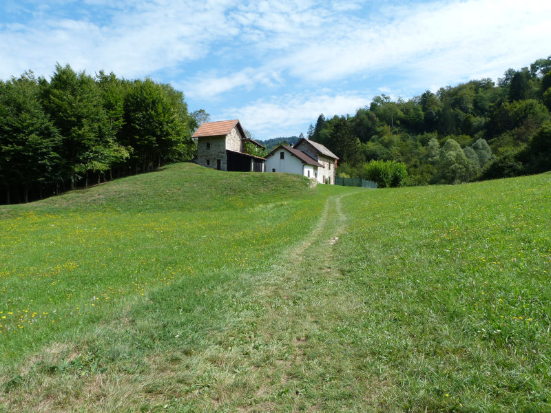 Usciamo dal bosco