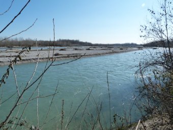 il piave scorre