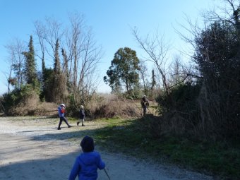 A destra sentiero lungo il Piave