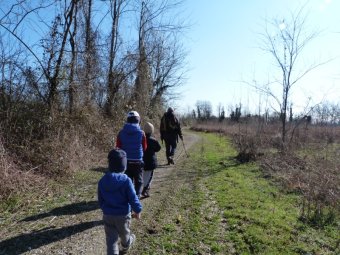 Sentiero verso spiaggetta sul Piave