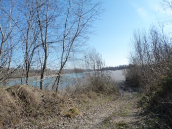 Ultimi metri prima del Piave