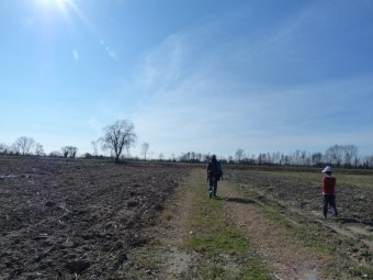 Verso l'albero di noce