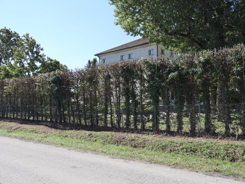 Villa in Via Buonarroti
