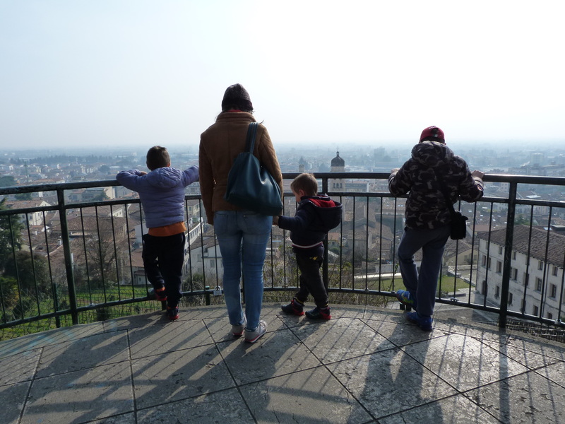 Vista su Conegliano