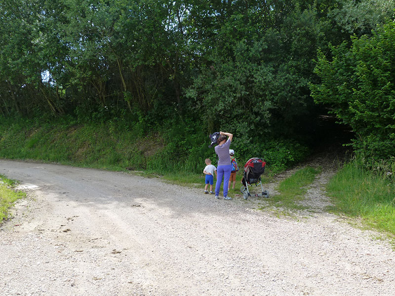 Entriamo nel bosco