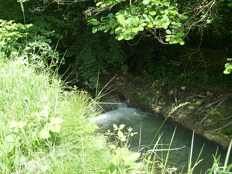 Torrente Ponticello