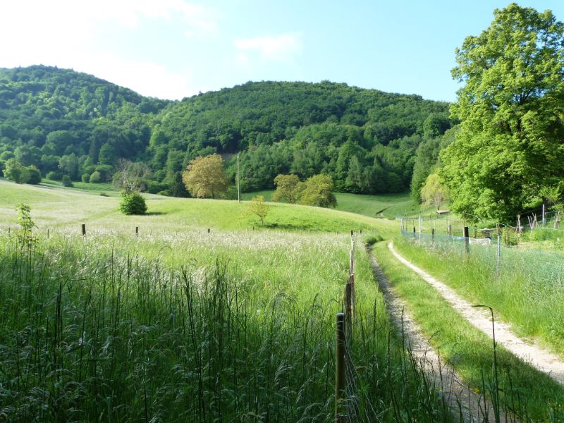 Paesaggi anello delle cirulette