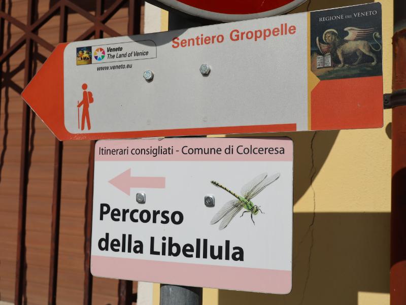 Percorso della Libellula