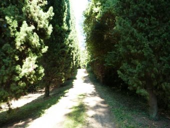 Ascesa al Colle della Tombola