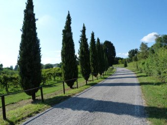 Via San Salvatore