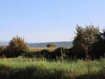 All'orizzonte il Montello