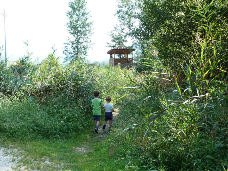 Deviazione verso il Bird-Watching