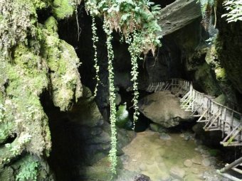 Le Grotte del Caglieron