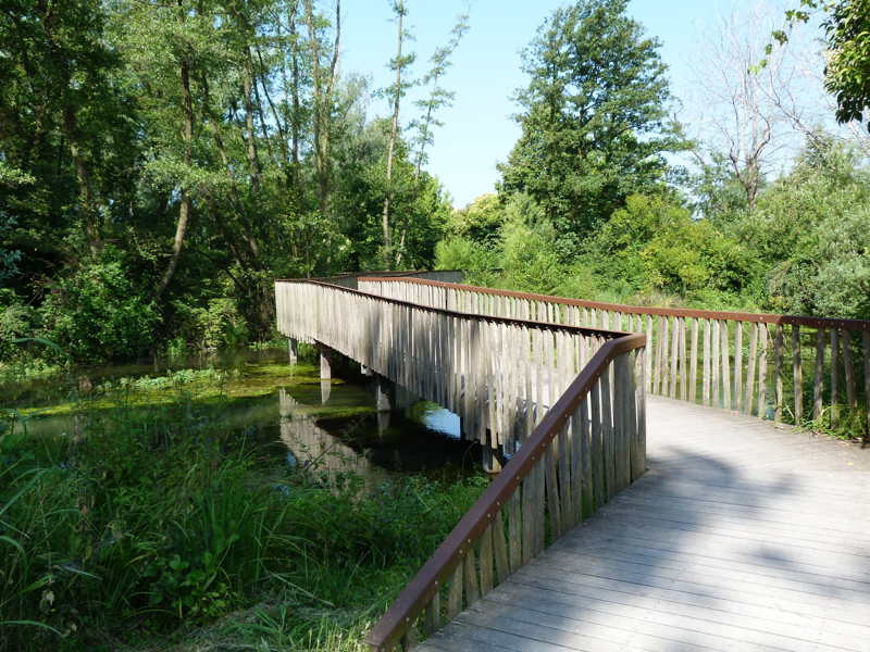 Area naturalistico paludosa